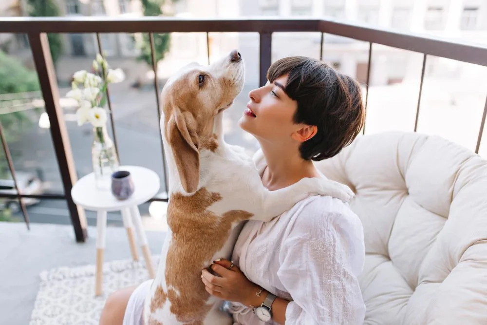 Free Pet Insurance Spain Included - UEI