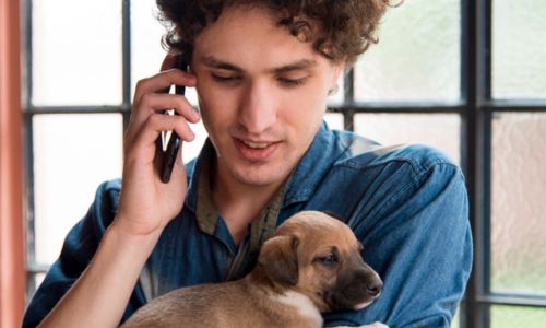 veterinary care Pet Insurance - UEI