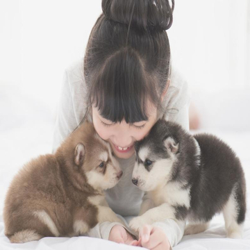 Pet-insurance-UEI